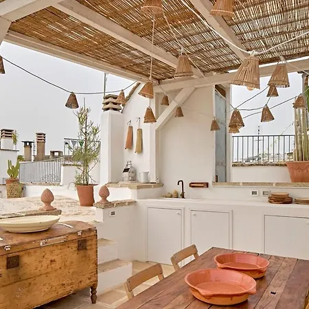 Agave Urban Oasis In * Matino