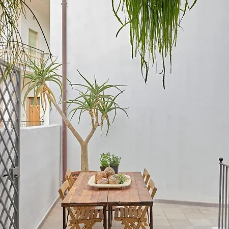 Agave Urban Oasis In * Matino