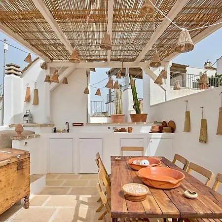 Agave Urban Oasis In Apartment Matino